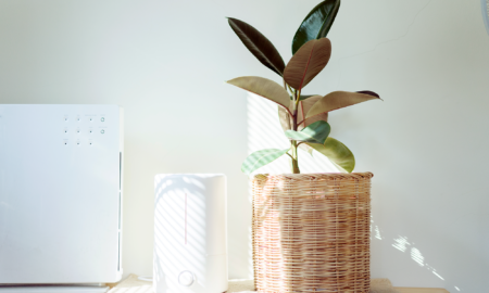 Ionic Air Purifiers VS HEPA Purifiers