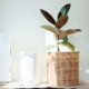 Ionic Air Purifiers VS HEPA Purifiers