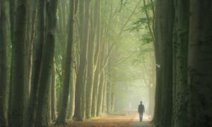 Understanding the Stages of Grief After a Loss