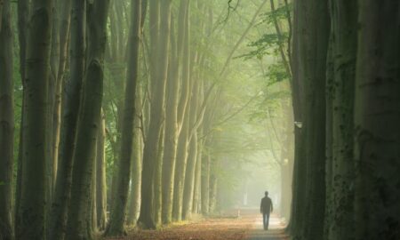 Understanding the Stages of Grief After a Loss