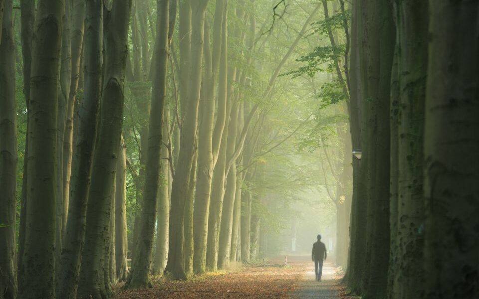 Understanding the Stages of Grief After a Loss